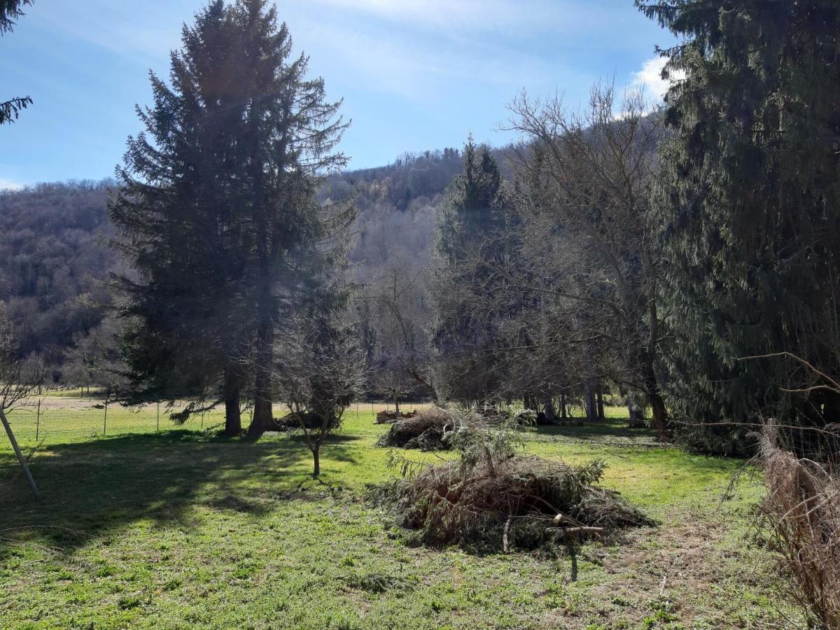 Chalet Tout Confort Proche D Ax 3 Domaines Vebre エクステリア 写真