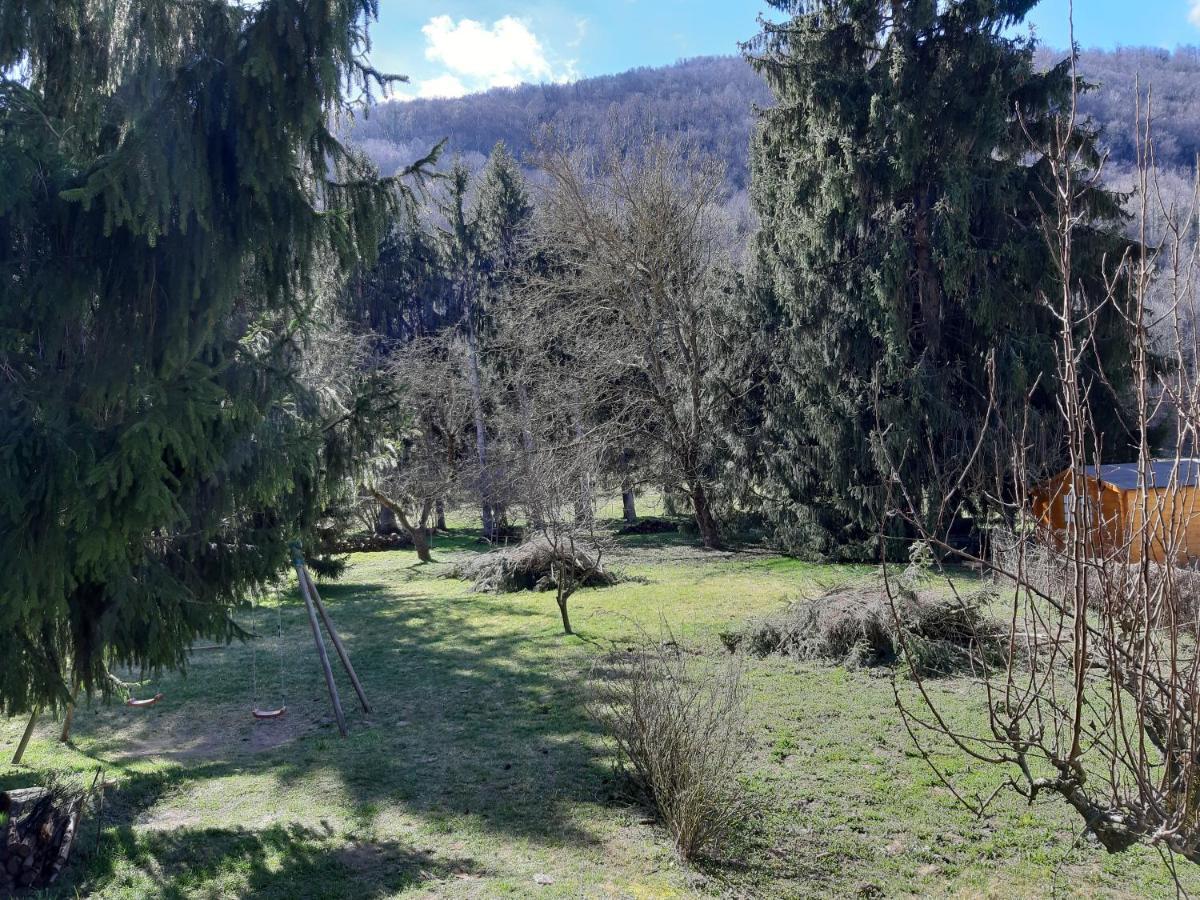Chalet Tout Confort Proche D Ax 3 Domaines Vebre エクステリア 写真