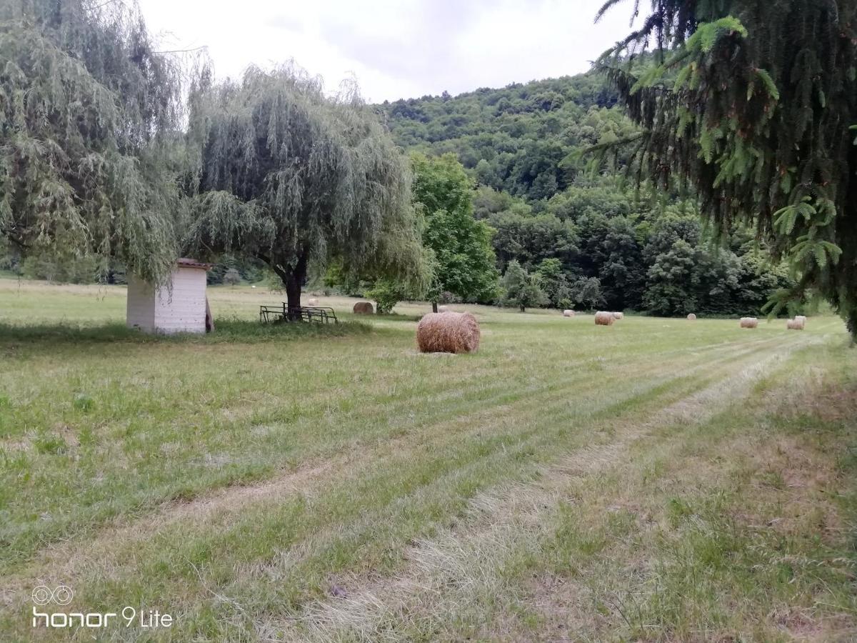 Chalet Tout Confort Proche D Ax 3 Domaines Vebre エクステリア 写真